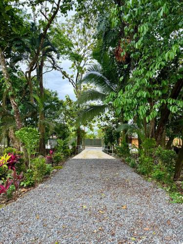 Chill & Relax in a 11bed 5washroom, Guápiles (photo 2)