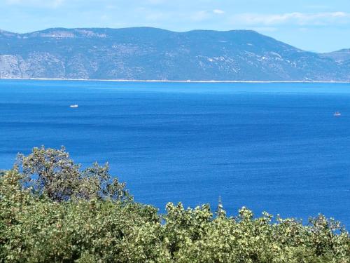 A környék, Villa Mirta in Crni