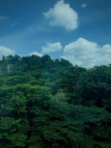 Surrounding environment, Panbil Residence Apartment with Netflix in Batam Island