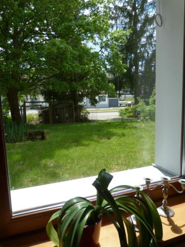 景觀, Ferienwohnung Ronja in 恩斯廷根