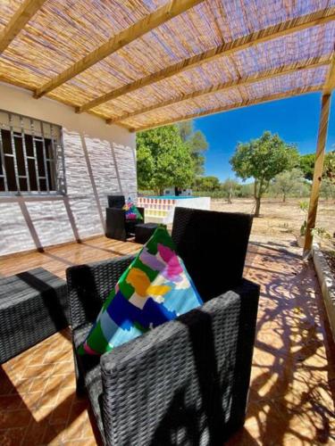 設施, Idyllic, Charming Quinta das Laranjeiras in 薩爾堡