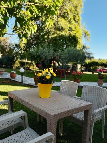 Garden, Viki Studios in Pefki (Artemisio)