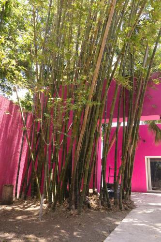 Casa Isabella in Cozumel, Mexico