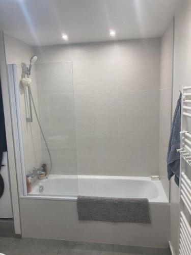 Quai du Rhone Two bedroom appartement, Lyon (photo 8)
