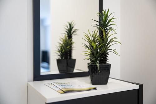 Two-Bedroom Apartment image 10