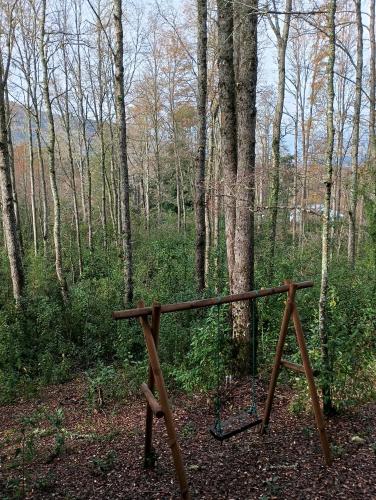 David el roble3 in Caburgua