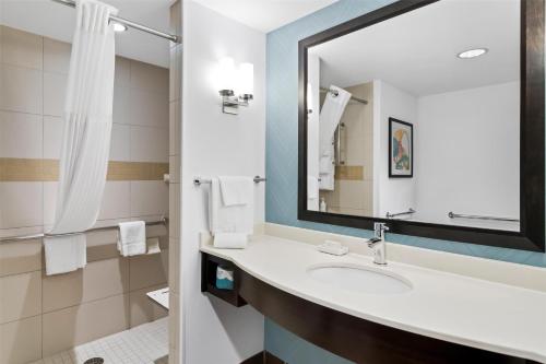 King Room with Roll-In Shower - Mobility Access image 4