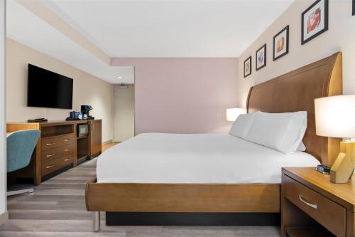 King Room with Roll-In Shower - Mobility Access image 2