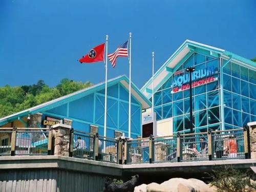 Venus Lodges 141 by Stony Brook Cabins in Gatlinburg, USA