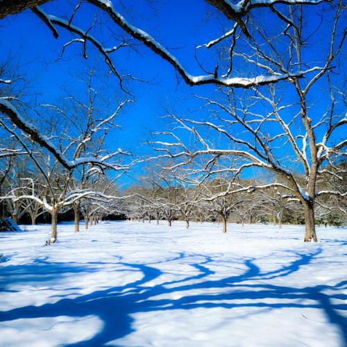 Cozy Camper Rental-Fully Equipped in Americus (Georgia)