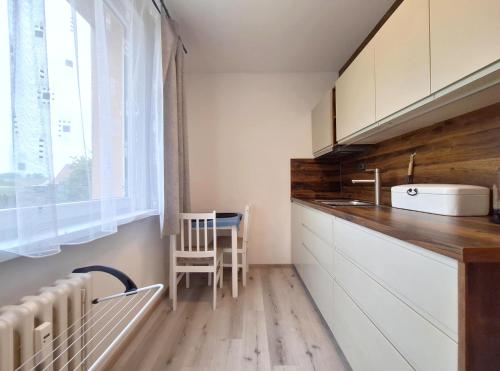 Apartmán Rokytnička (Apartman Rokytnicka) in โรคิตนิซ วี ออร์ลิซคิช ฮอราค