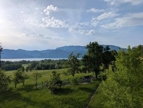 Tuvākā izklaides vieta, BergSeeZauber in Breitenröth