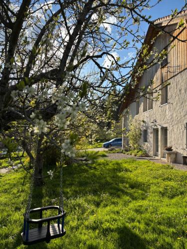 Playground, Relais de la Baume in Le Locle