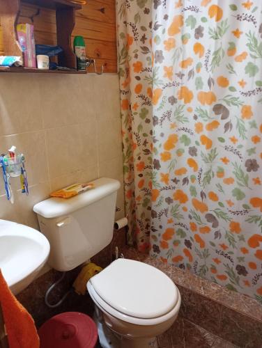 Cabaña Camilu