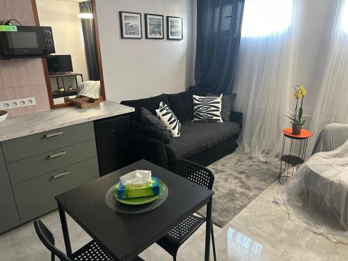 Stylish apartmens near Minsk Mazowiecki in Міньск-Мазовєцький
