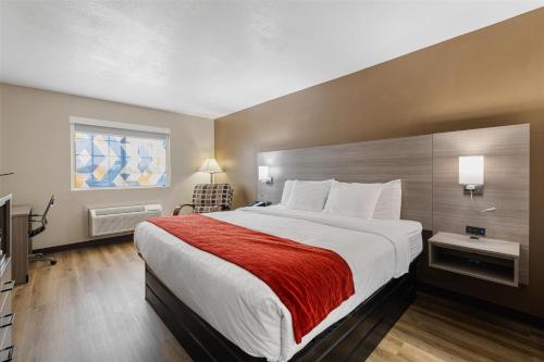1 king bed