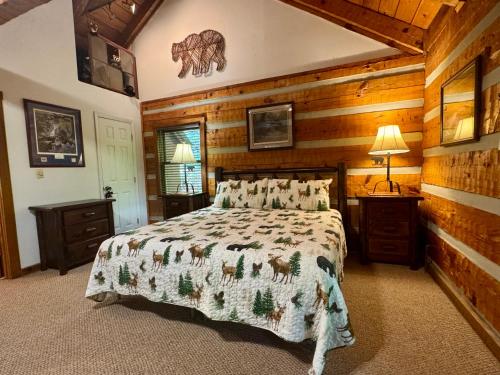 Bear View - image 10