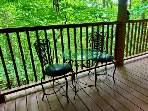 Bear View - image 10