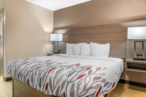 Red Roof Inn Detroit-Rochester Hills/ Auburn Hills - image 10