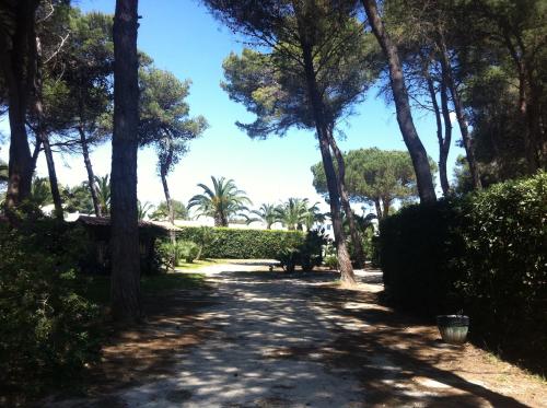 Residence Serra Alimini 1 - image 10