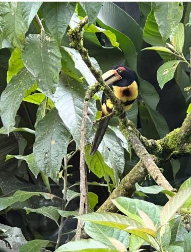 Hda San Vicente Yellow House Trails & Lodge in 明多