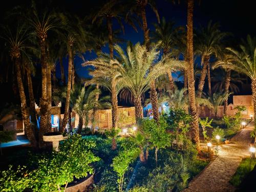 . Serenity Lodge Zagora Guest House Restaurant & Desert Excursions