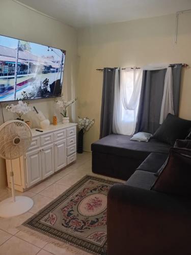 DOUG MANOR flat 2 in Portmore