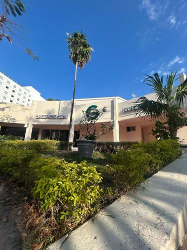 Activități, Green Caps Cancun Hospedaje in Cancun