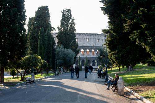 DomusAmor Colosseo - image 9
