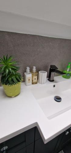 The Flat at Clocktower Buildings in Forres