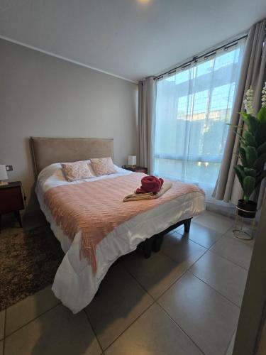 Moderno y Elegante departamento 2 Dormitorios Parcking Gratis