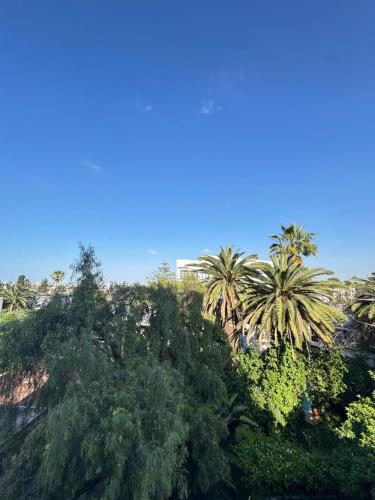 Luxury Studio Oasis, Casablanca (fotografie 10)