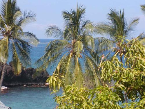Manini Point Houseat Kealakekua Bay in Honaunau-Napoopoo (HI)