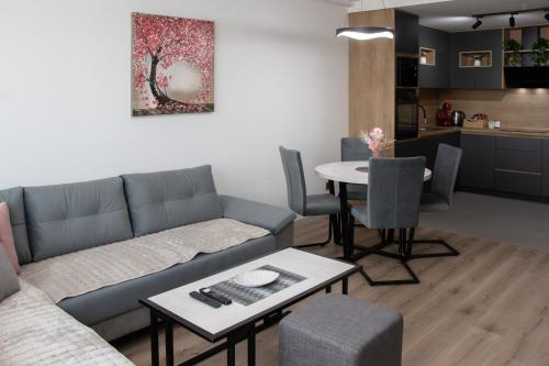 Luxury condos on 18th, 19th, 5th and 3rd floor, with pool, fitness, parking included, Skopje (fotografie 7)