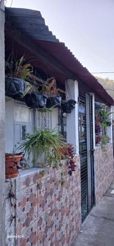 Apartamento Manchen Antigua