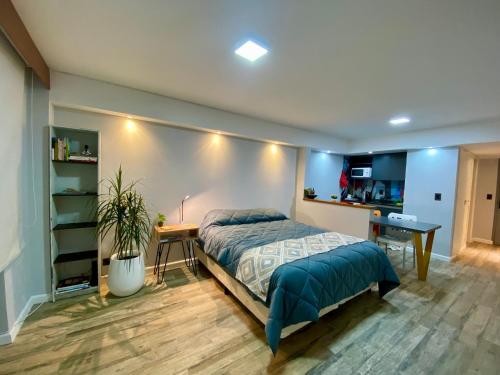 Estudio Lino