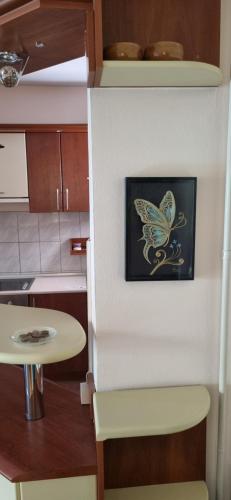 Simon's apartment, Skopje (fotografie 9)