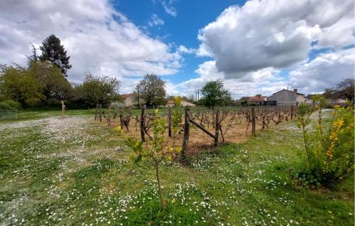 ทัศนียภาพภายนอกโรงแรม, Holiday Gite On A Vineyard in บล็องแซ