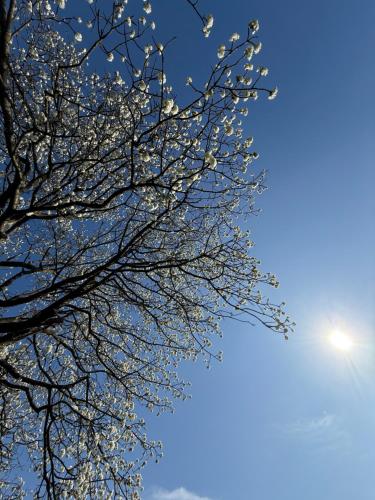 The Beautiful White Villa in Kortenberg