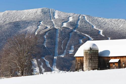 NEW 2025 Sugarbush Bridges Resort Outpost - image 8