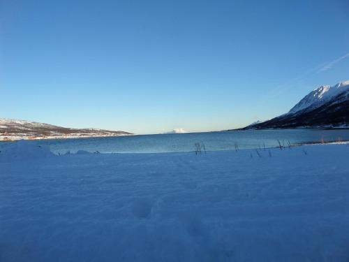 Lyngen Fjordcamp