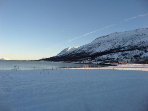 Lyngen Fjordcamp