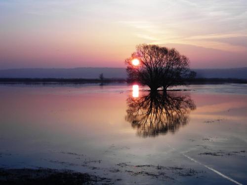 Apkārtne, Ferienwohnung am Hohennauener See in Seeblick
