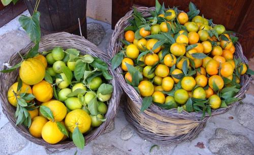 Agriturismo 'A Lanterna