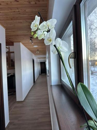 Complexul Rustic, Avrig (fotografie 7)