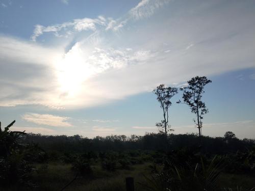 Moonshadow in Su-ngai Kolok