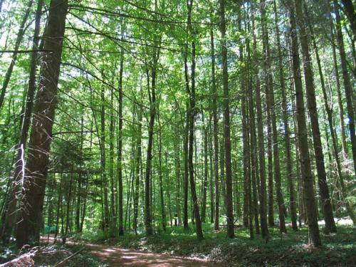 B&B Hersberg in Sissach