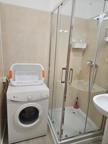 One-Bedroom Apartment image 10