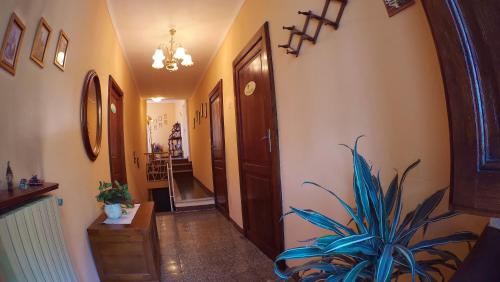 B&B Il Casale delle Pianacce in Castiglione di Garfagnana