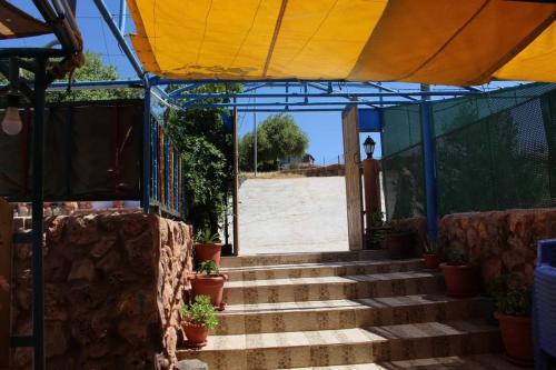 استراحة ومنتجع قرية الزرب, Ajlun (foto 7)